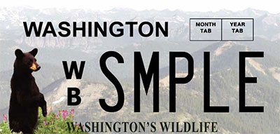Wild on Washington bear plate