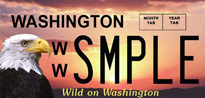 Wild on Washington eagle plate