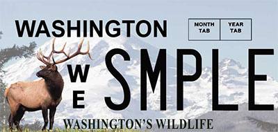 Wild on Washington elk plate
